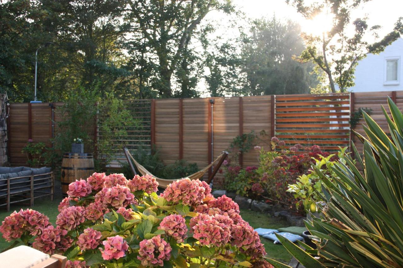 Maison Bellefleur B&B - Pension Renesse Extérieur photo
