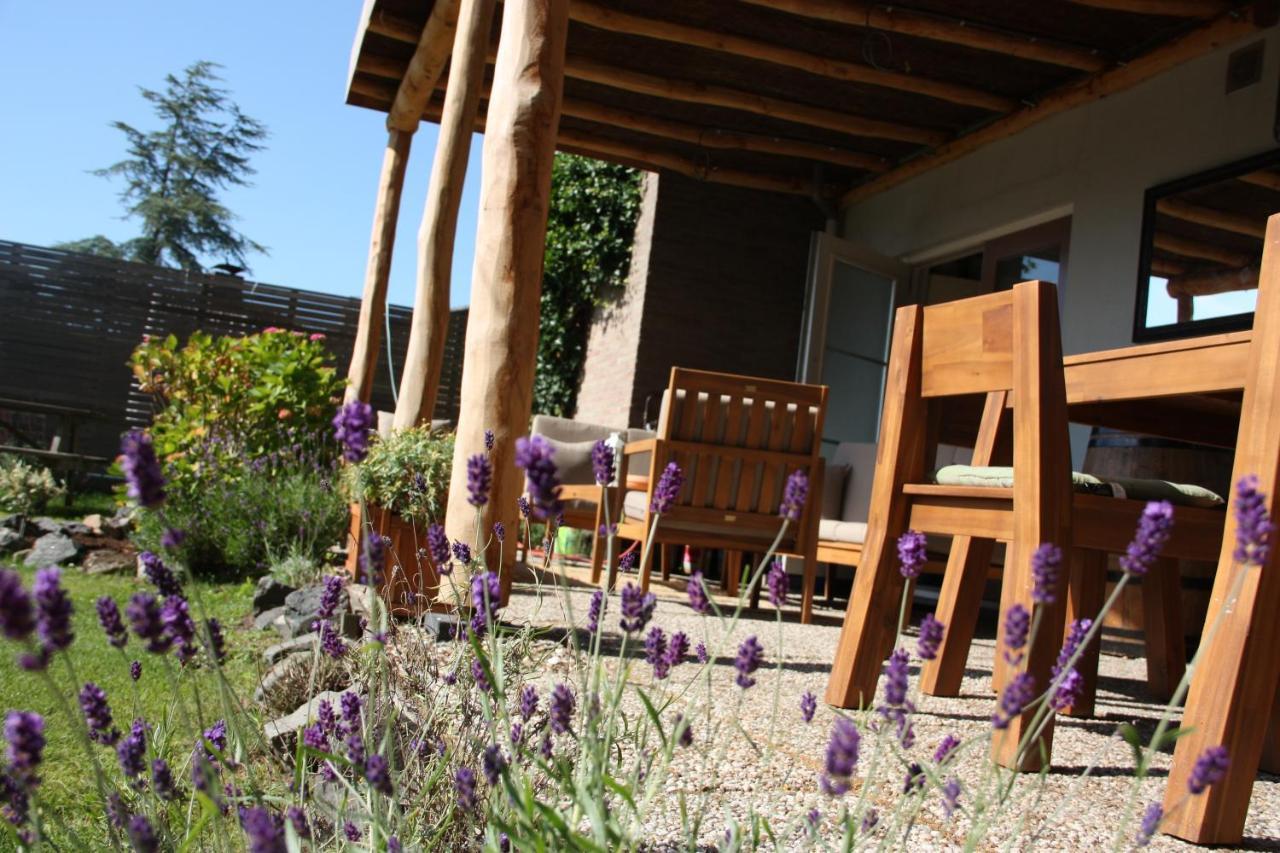 Maison Bellefleur B&B - Pension Renesse Extérieur photo